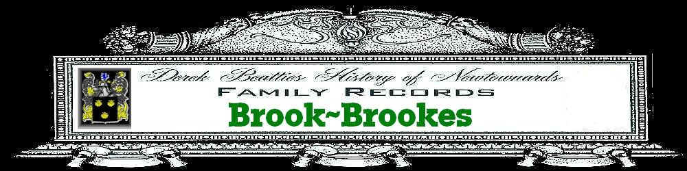 b-fr-01-brook.jpg (45677 bytes)