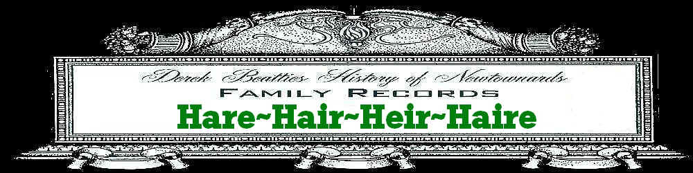 b-fr-01-hair.jpg (40695 bytes)