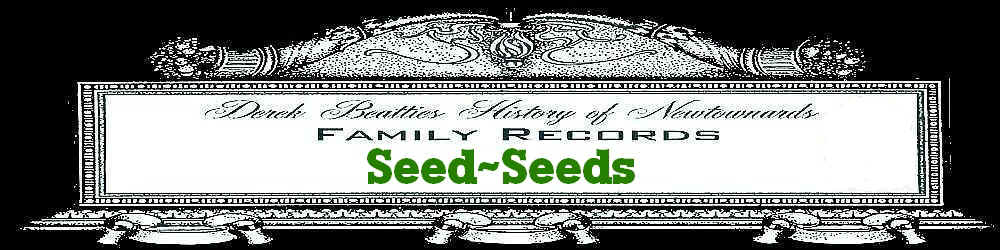 b-fr-01-seeds.jpg (37774 bytes)
