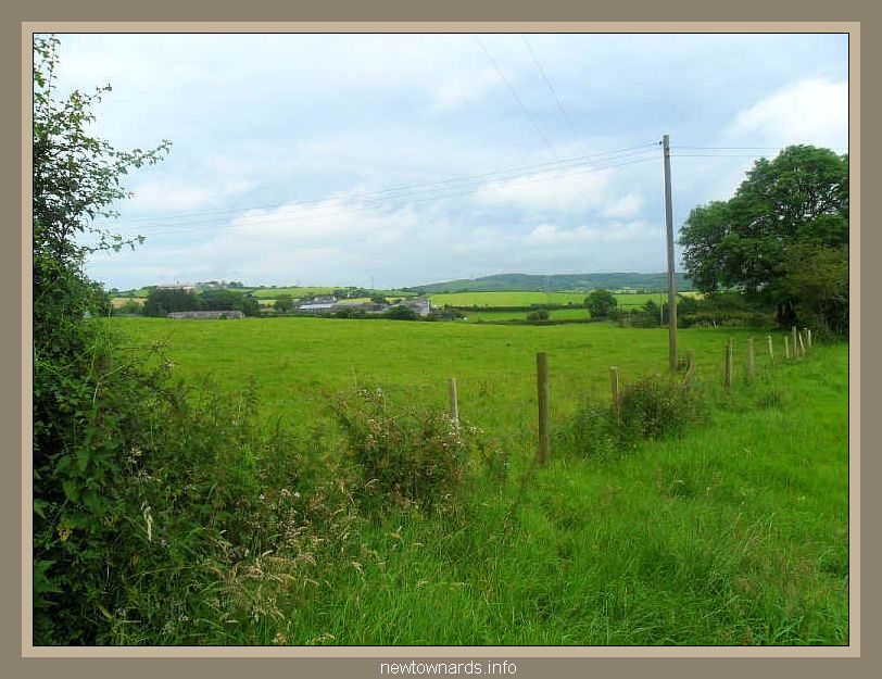 ballybarnes-2012-03.jpg (118076 bytes)