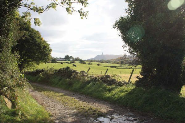 bl-moores-farm-lane.jpg (42506 bytes)
