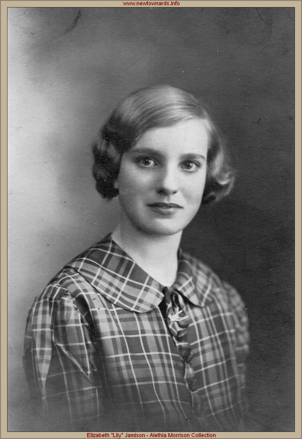 jamison-lily-am.jpg (214913 bytes)