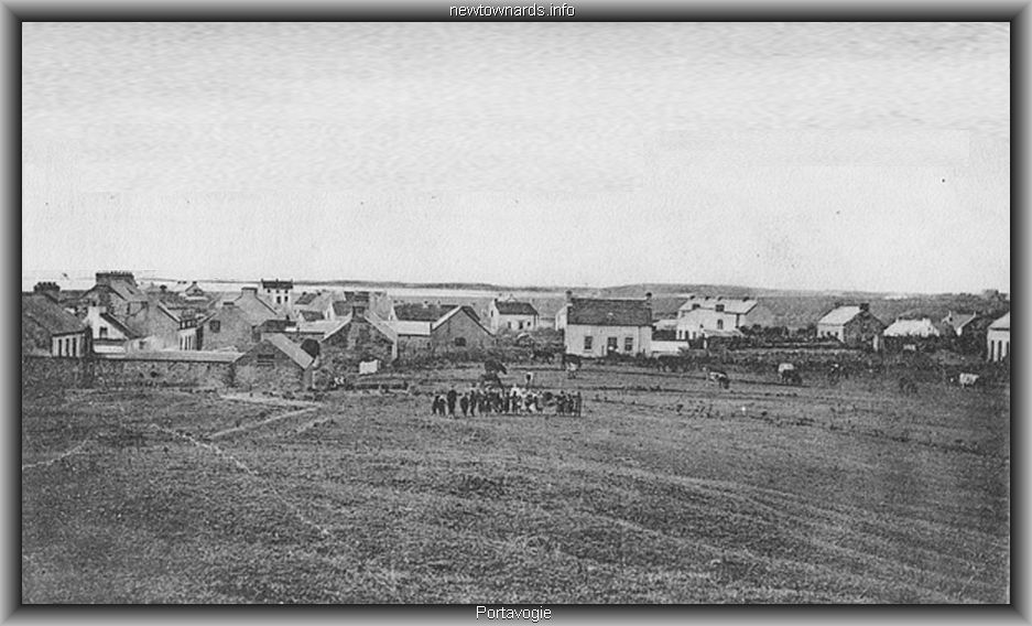 portavogie-field.jpg (98008 bytes)